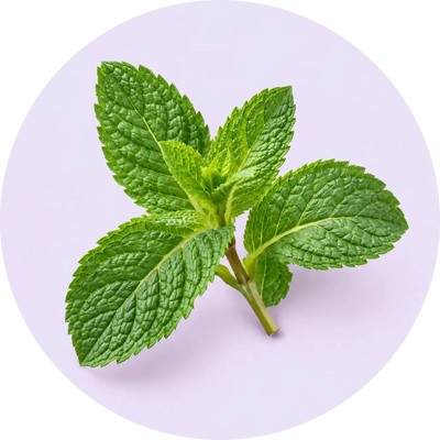 Peppermint